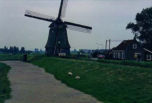 1998SEPT NLD Volendam 010